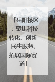 岳阳楼区：聚焦科技转化、创新民生服务、拓展国际赛道